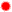 RedCircle.gif (104 bytes)